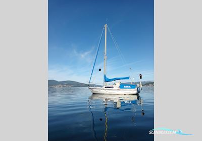 Hurley 700 Zeilboten 1978, met Tohatsu motor, The Netherlands