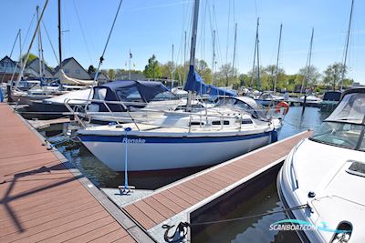 Hurley 800 Zeilboten 1998, The Netherlands