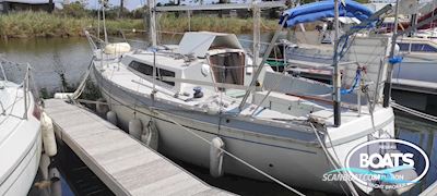 Jeanneau Aquila Zeilboten 1979, met Yanmar motor, France