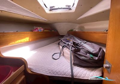 Jeanneau Sun Shine 38 Zeilboten 1986, met Yanmar motor, Denemarken