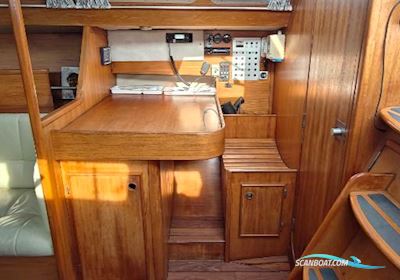 Jeanneau Sunshine Régate 38 Zeilboten 1983, met Yanmar motor, Denemarken