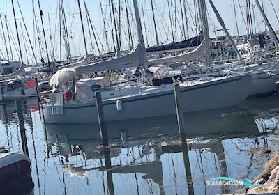 Kaskelot Zeilboten 1972, met Yanmar  motor, Denemarken