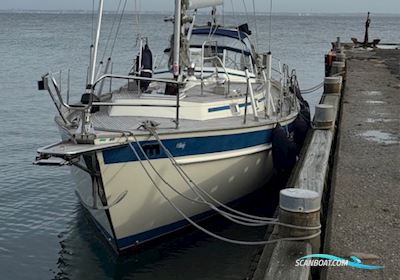 Malö 42 Zeilboten 1999, met Yanmar motor, Denemarken