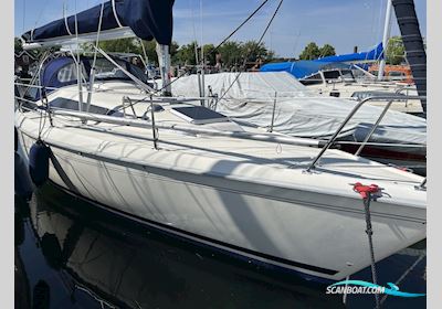 Maxi Fenix Dinette Med Nyere Sejl. Solgt Zeilboten 1985, met Lombardini motor, Denemarken