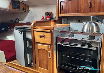 Maxi Fenix Dinette Zeilboten 1981, met Volvo Penta MD5 motor, Denemarken