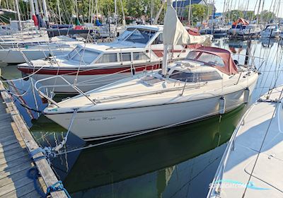 Maxi Magic Zeilboten 1985, met Parsun  motor, Denemarken