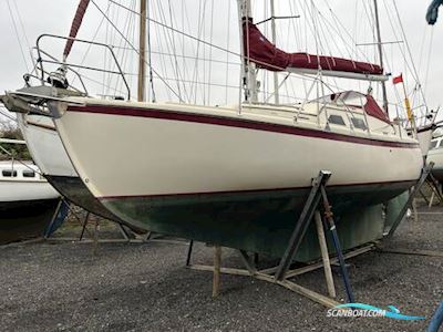 Midget 31 Zeilboten 2003, met Vetus 33 motor, United Kingdom