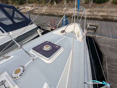 Moody 29 Zeilboten 1982, met Bukh motor, United Kingdom