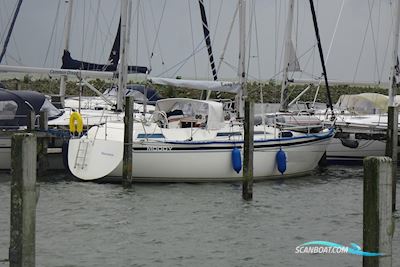 Moody 34 Zeilboten 1986, met Thornycroft motor, The Netherlands