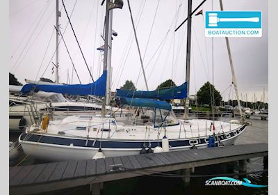 Morgan Out Island 41 Zeilboten 1982, met Yanmar motor, The Netherlands