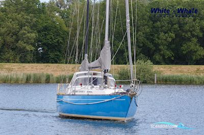 NAUTIC SAINTONGE NS44CC Zeilboten 1981, met Ford motor, The Netherlands