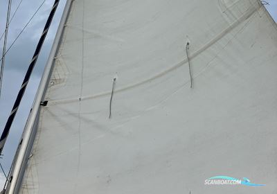 Nimbus 33 Zeilboten 1969, met Yanmar motor, Denemarken