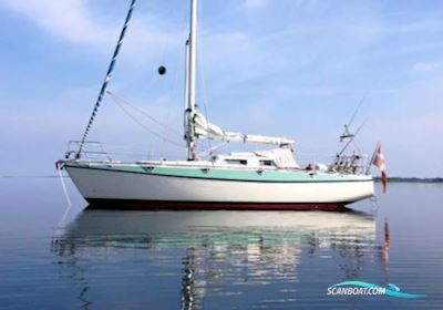 Nimbus 33 Zeilboten 1969, met Yanmar motor, Denemarken