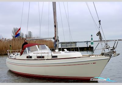 Nomad SK 34 Zeilboten 1983, The Netherlands