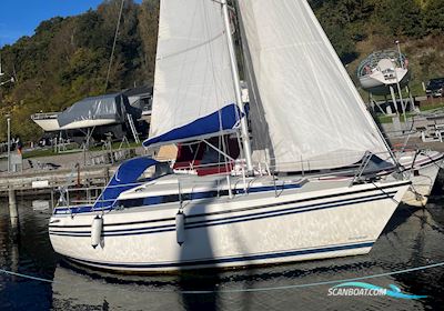 Nordship 808 Zeilboten 1984, met VP2002 motor, Denemarken