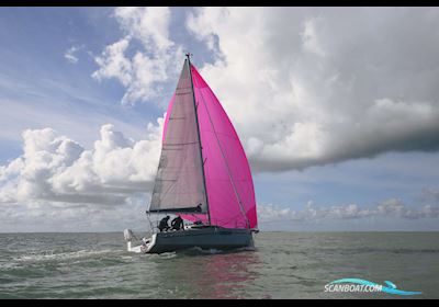 RM Yachts RM 890 + Zeilboten 2024, Martinique