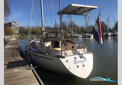 Rival 36 Zeilboten 1993, The Netherlands