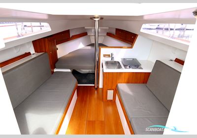 Saffier Sc 8m Cabin Zeilboten 2019, The Netherlands