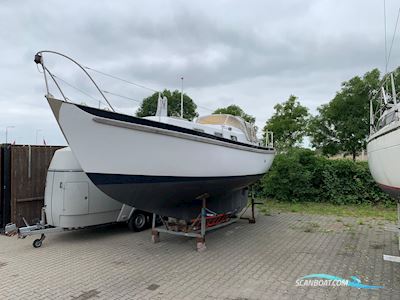 Seadog 30 Zeilboten 1973, met Yanmar motor, The Netherlands