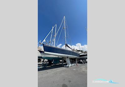 Shark 50 Zeilboten 2017, met VOLVO PENTA motor, France