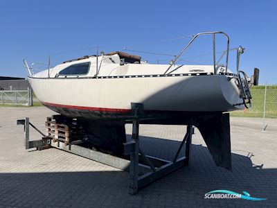 Solus 24 Zeilboten 2024, met Uden motor motor, Denemarken