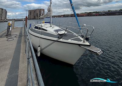 Sunwind 31 Zeilboten 1984, met Volvo Penta motor, Denemarken