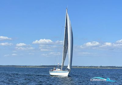 Sweden Yachts 38 Zeilboten 1984, met Volvo Penta 2003T motor, Denemarken