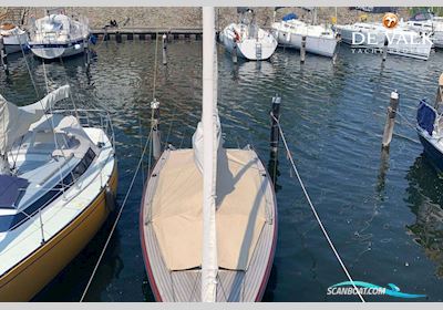 Tofinou 8 Zeilboten 2016, met Nanni motor, The Netherlands