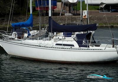 Victoire 933 Zeilboten 1979, met Yanmar 2GM20 motor, The Netherlands