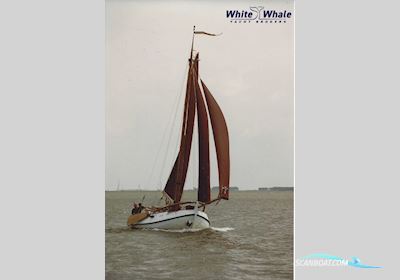 Vollenhovense Bol 9.75 Zeilboten 1991, met Thornycroft motor, The Netherlands