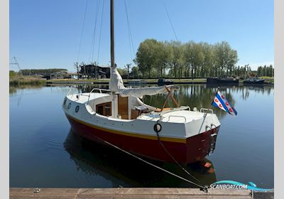 Wadder 810 Zeilboten 1978, met Yanmar motor, The Netherlands