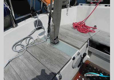 Willing 31 Zeilboten 1983, met Volvo Penta motor, The Netherlands