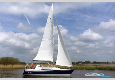 Winner 950 Zeilboten 1998, met Yanmar motor, The Netherlands