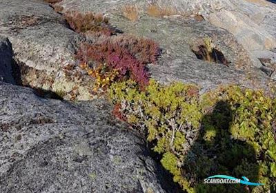 X 95 Zeilboten 1985, met Yanmar 2 YM 15 motor, Sweden