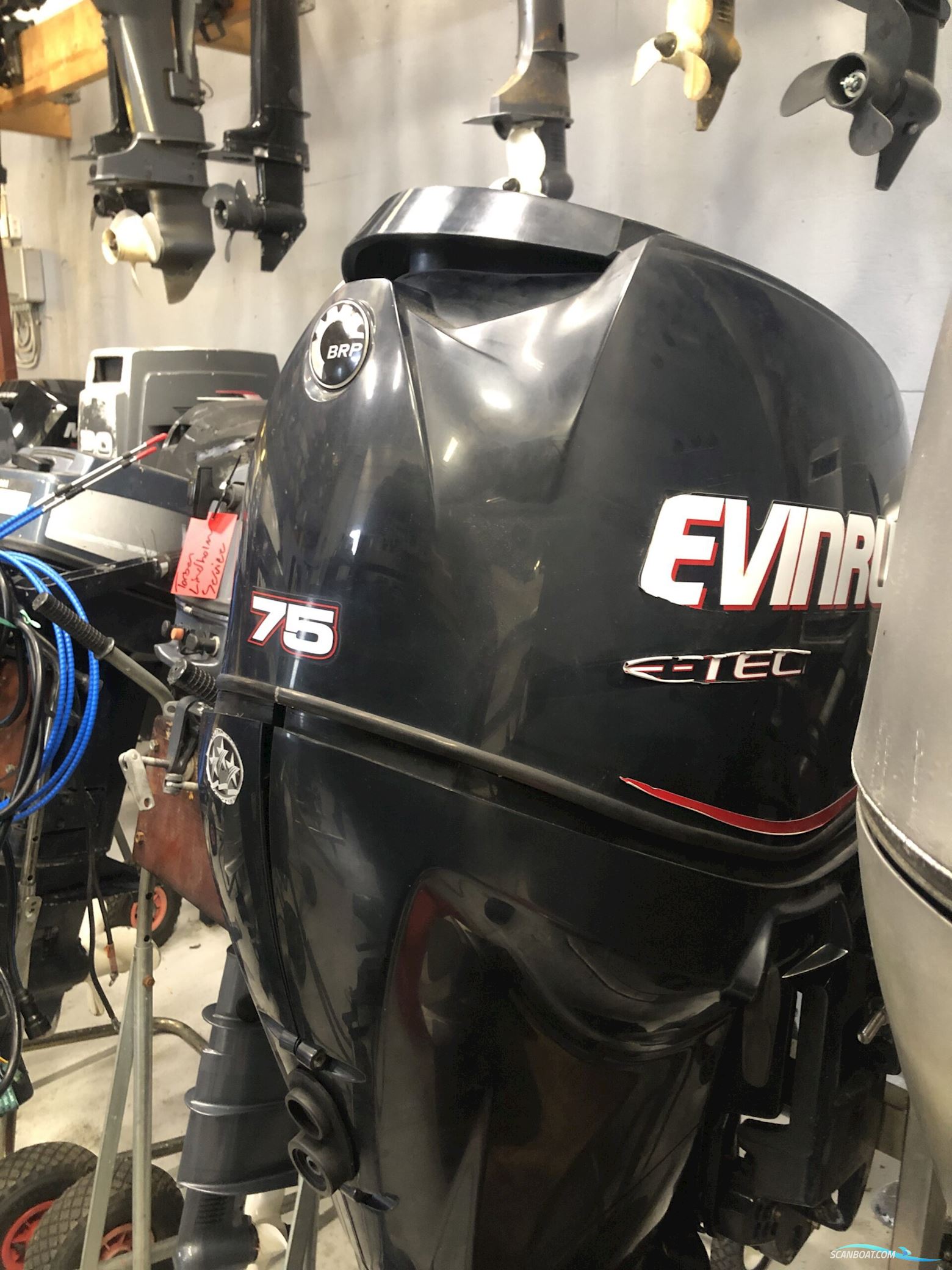 Evinrude 75TL E-Tec