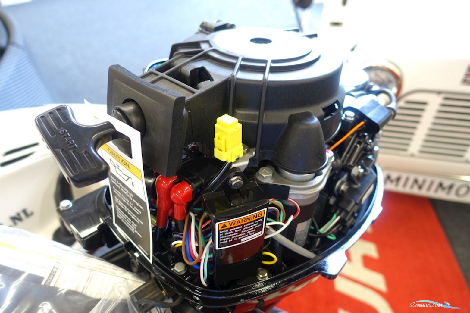 Mercury 9,9pk Common trust