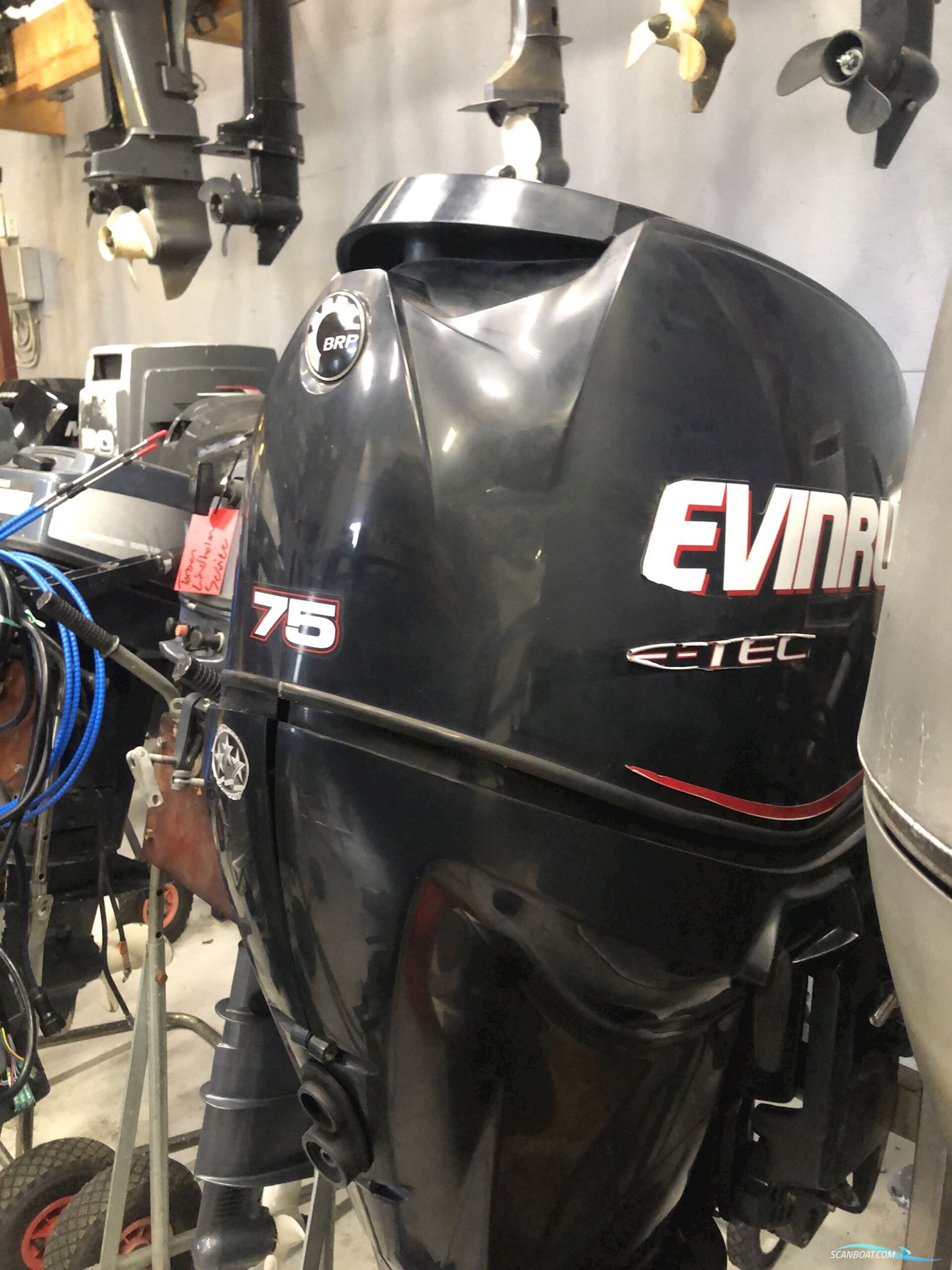 Evinrude 75TL E-Tec