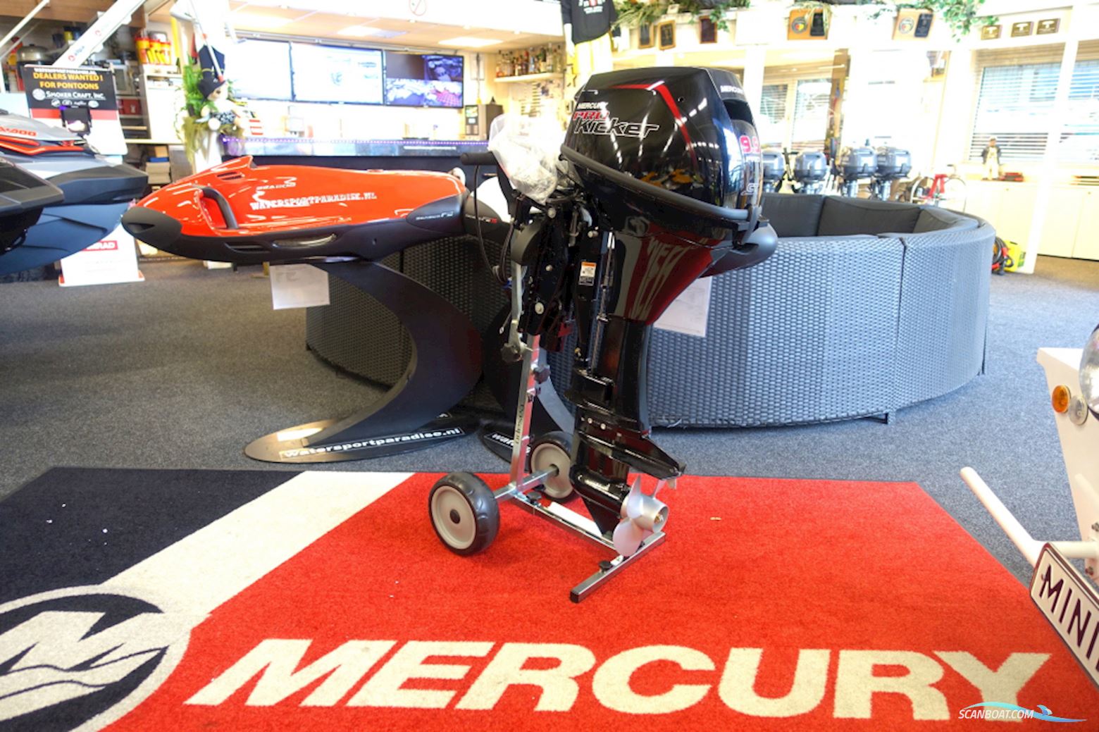 Mercury 9,9pk Common trust