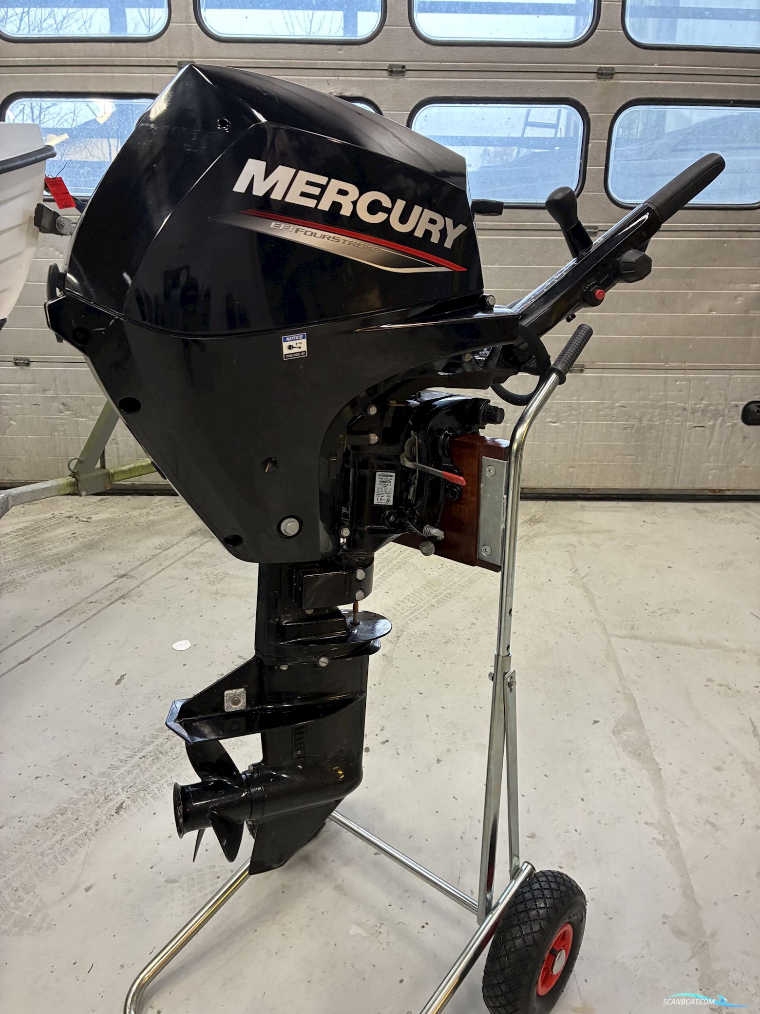 Mercury F20Mhs Efi