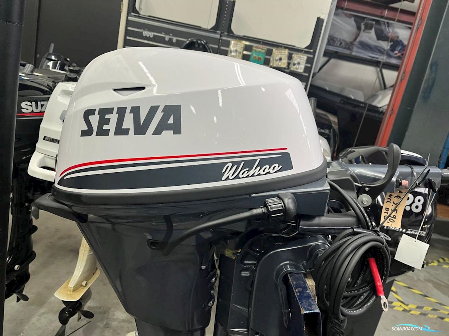 Selva 15 Ebl Wahoo Båtmotor 2021, Holland
