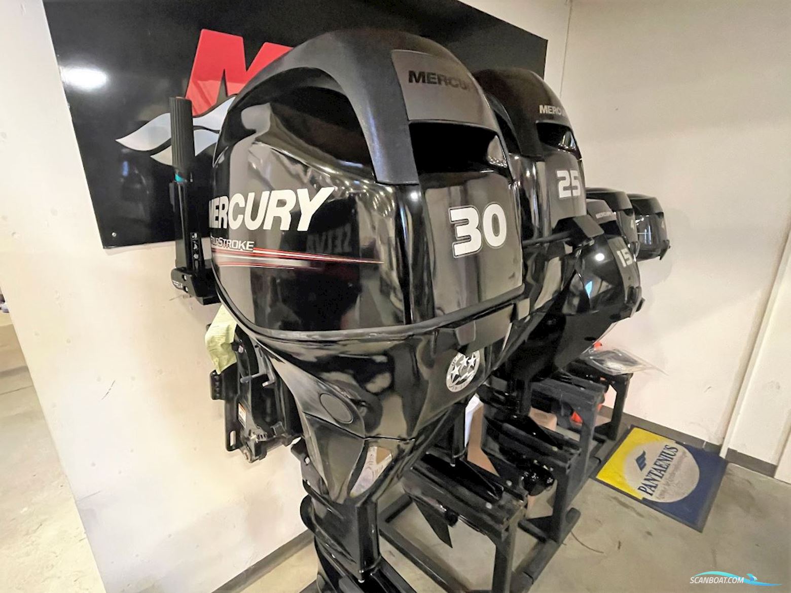 Mercury F30 Elhpt Efi