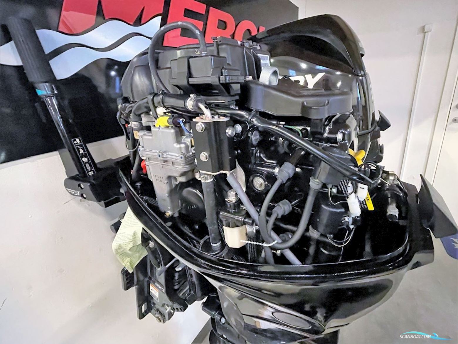 Mercury F30 Elhpt Efi