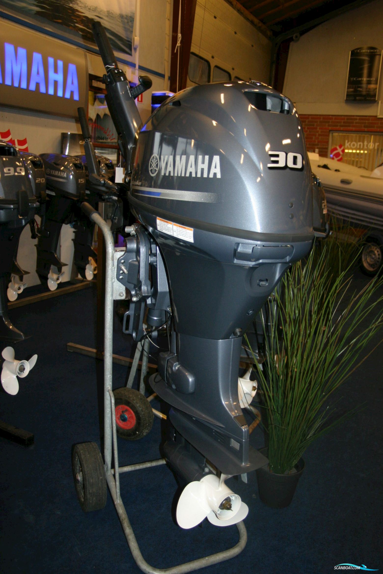 Yamaha F30Behdl