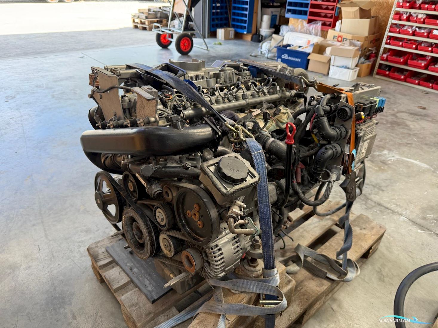 Yanmar