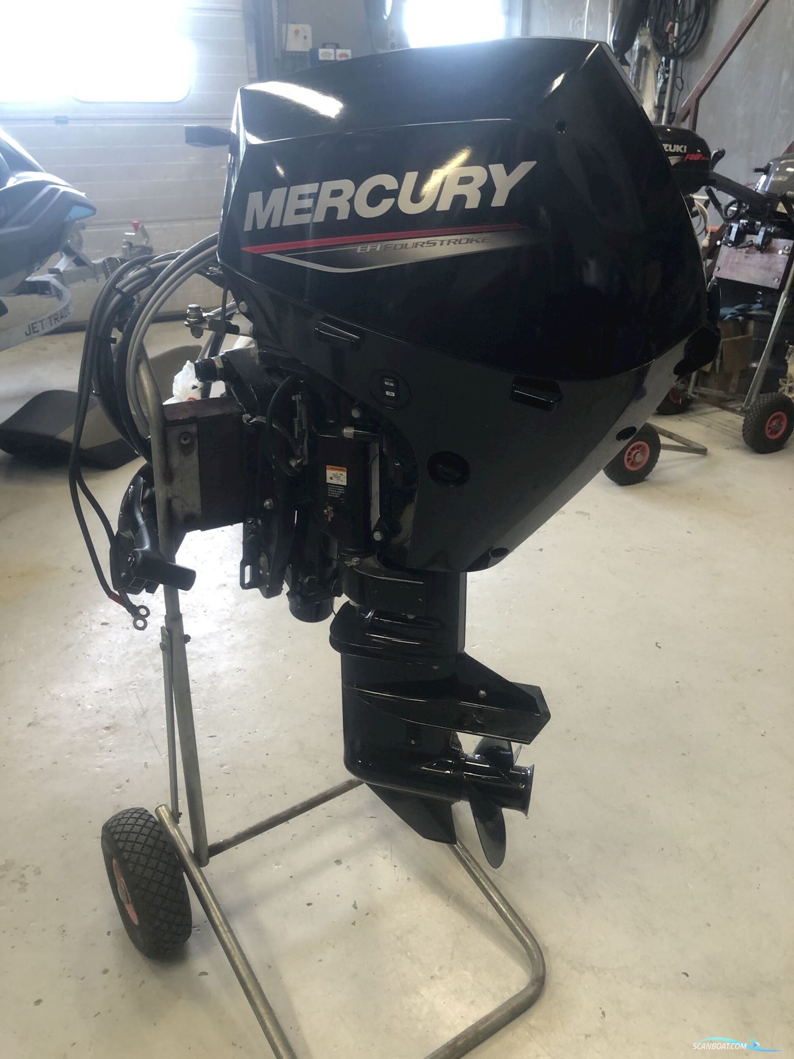 Mercury F20Ept Efi