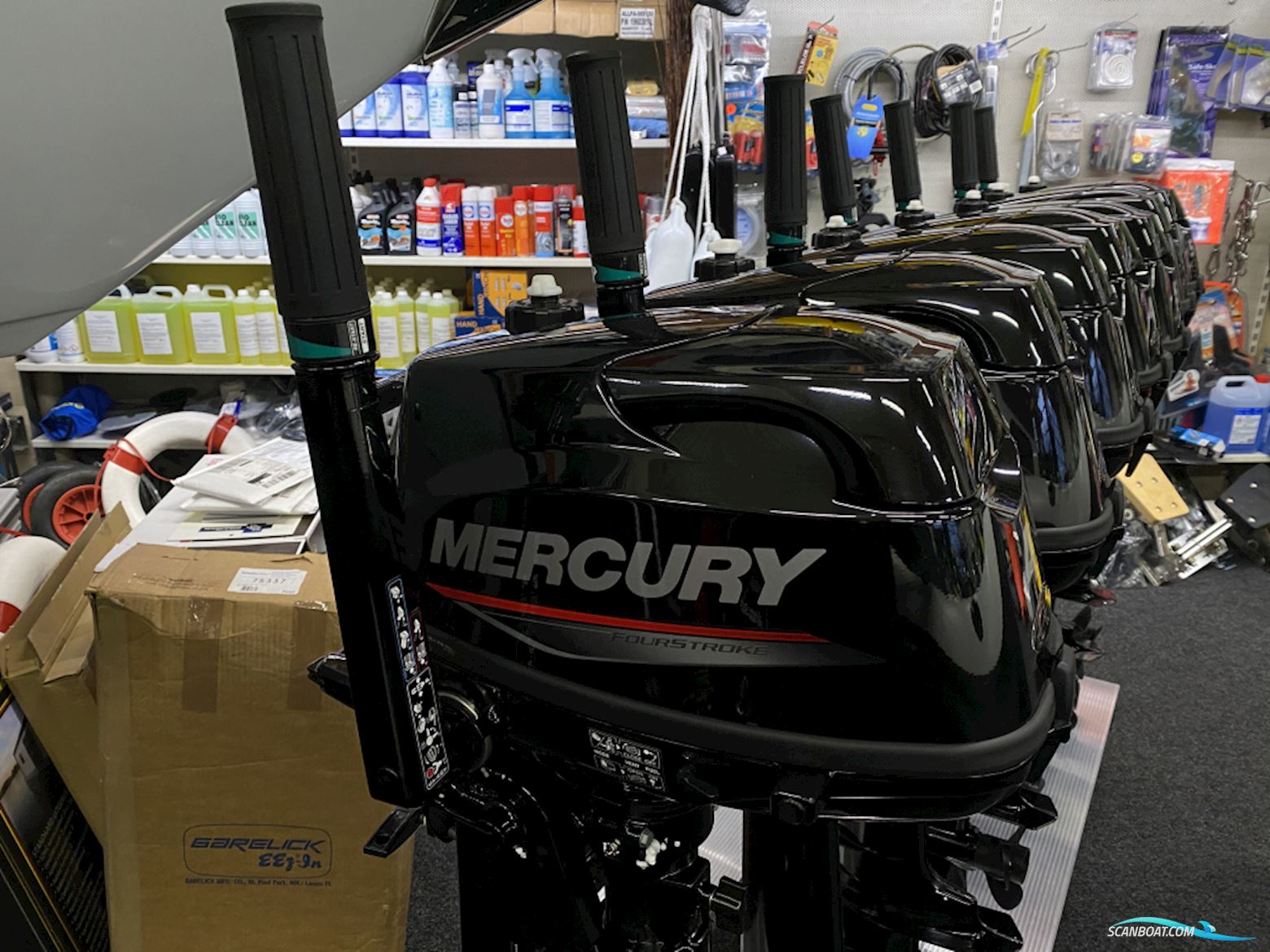 Mercury F5MLH Bootsmotor 2024, Niederlande
