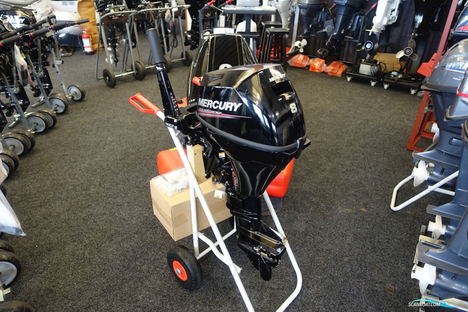 Mercury F8EH Bootsmotor 2024, Niederlande