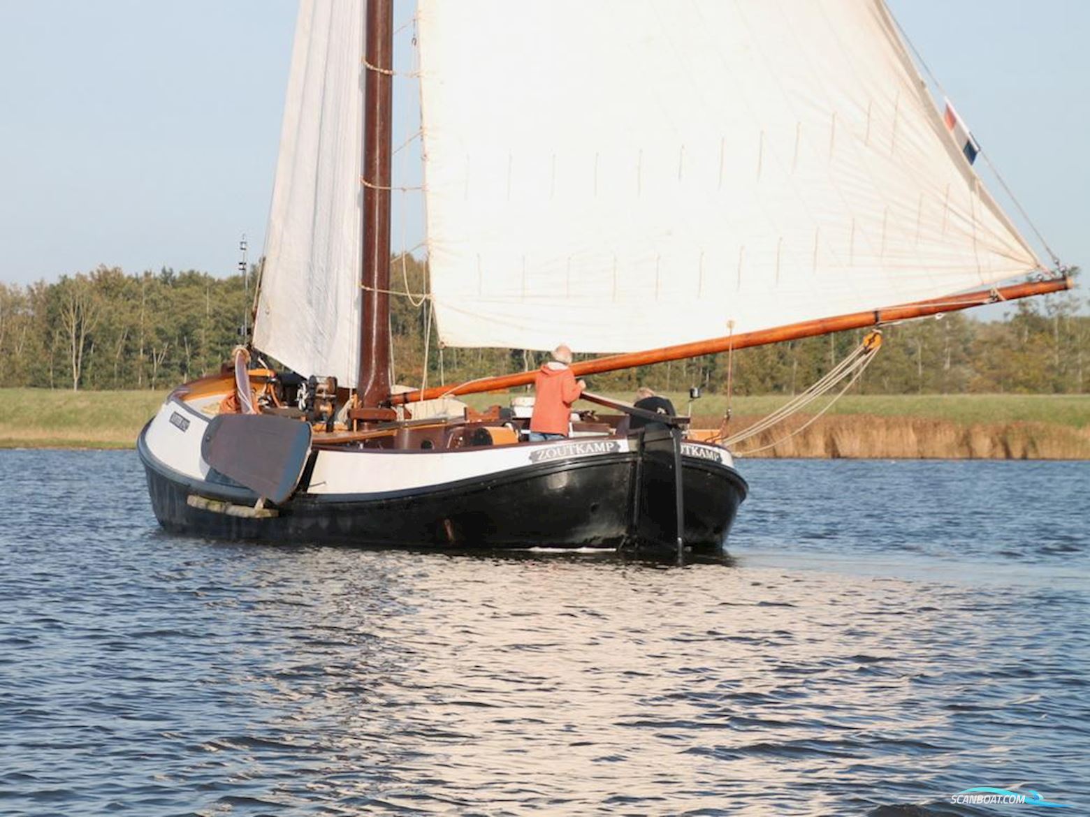 Barge Mussel