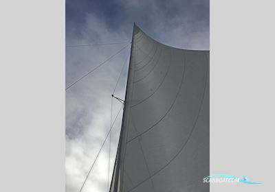 Amateur Con Basetta 28 Trimaran Flerskrogsbåd 1990, med Yamaha motor, Holland