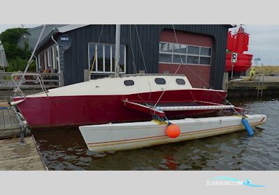 Amateur Con Basetta 28 Trimaran Flerskrogsbåd 1990, med Yamaha motor, Holland